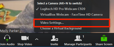 zoom video conference app settings